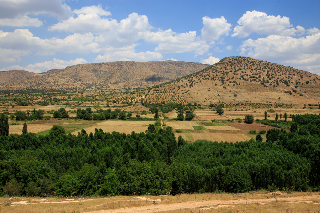 Durusu, Savur